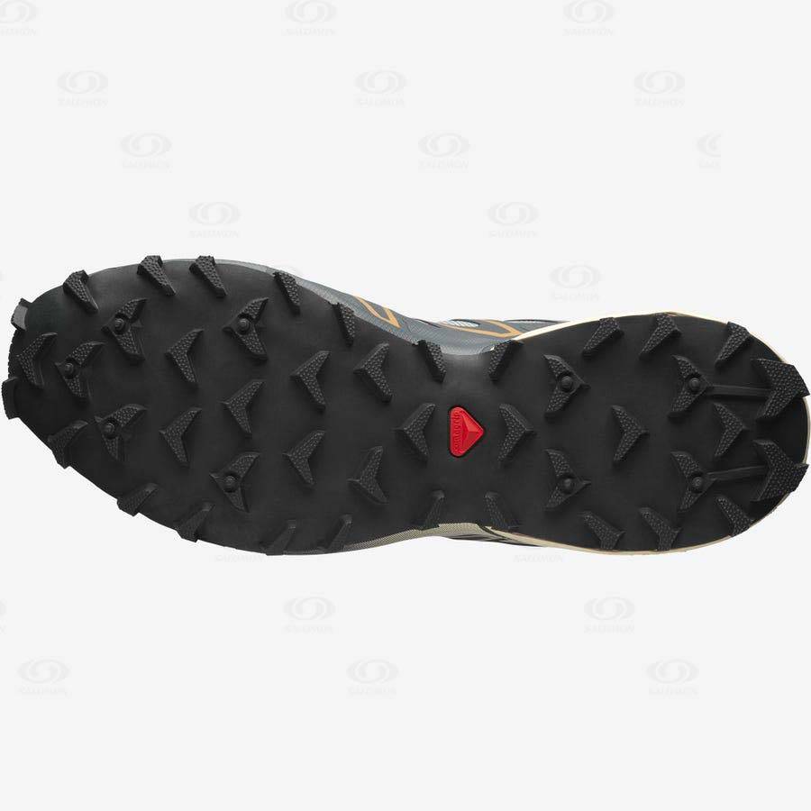 Blue Women's Salomon SPEEDCROSS 3 Sneakers | USA-O2197