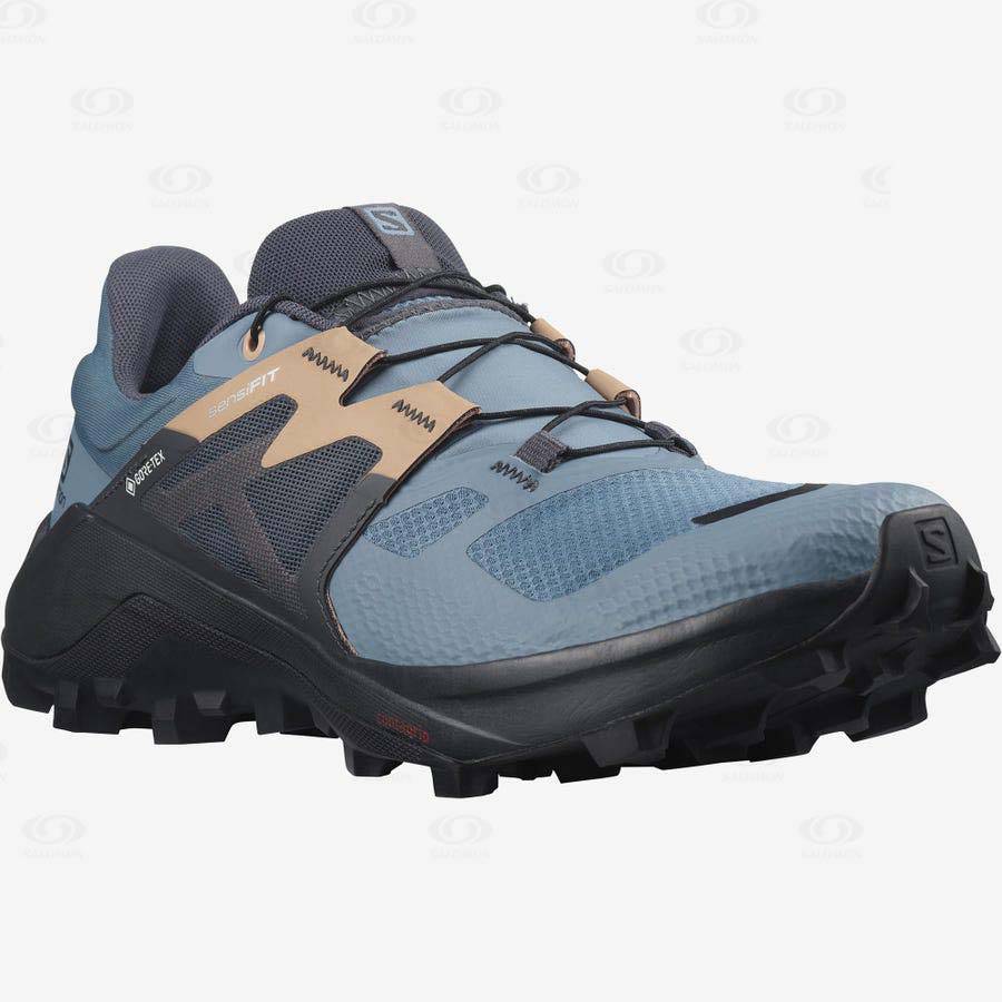 Blue Women's Salomon WILDCROSS 2 GORE-TEX Waterproof Shoes | USA-S2346