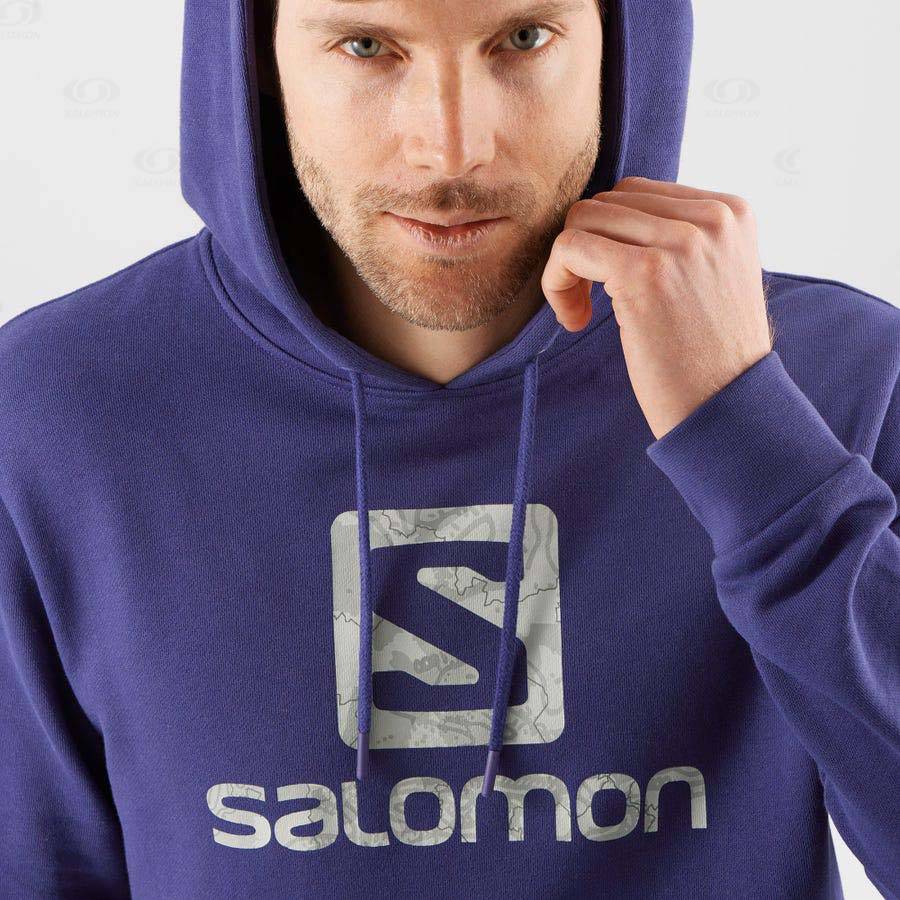 Purple Men's Salomon OUTLIFE LOGO SUMMER Hoodie | USA-A1822