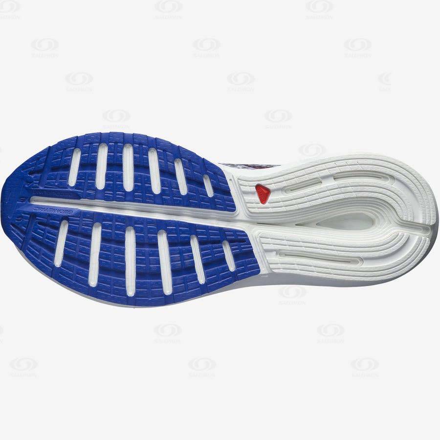 Red / Blue Men's Salomon SONIC 5 BALANCE Running Shoes | USA-S1863