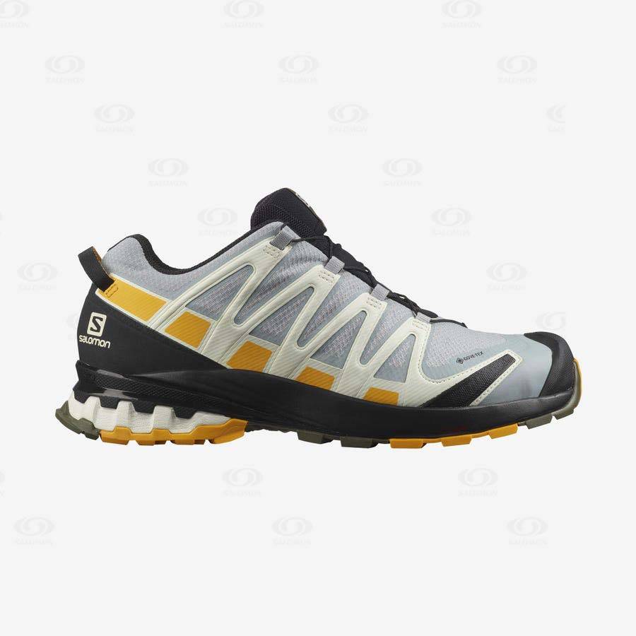 Silver Men\'s Salomon XA PRO 3D v8 GORE-TEX Hiking Shoes | USA-O1033