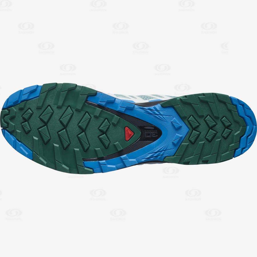 Turquoise Men's Salomon XA PRO 3D v8 Hiking Shoes | USA-O2141