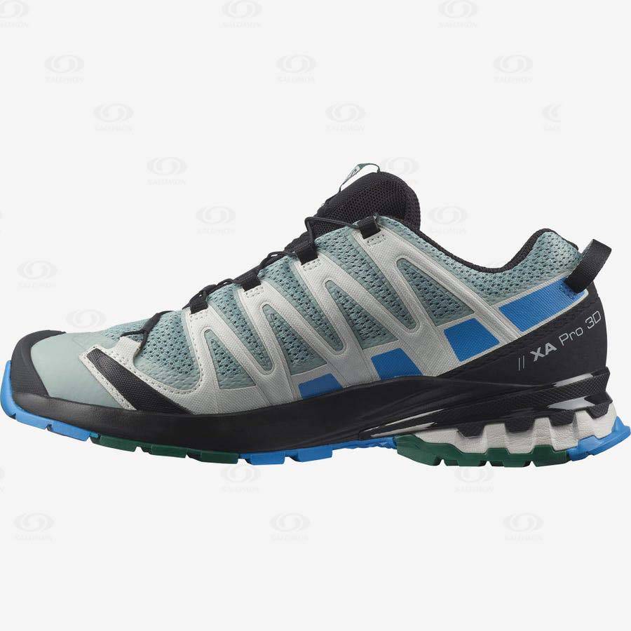 Turquoise Men's Salomon XA PRO 3D v8 Hiking Shoes | USA-O2141