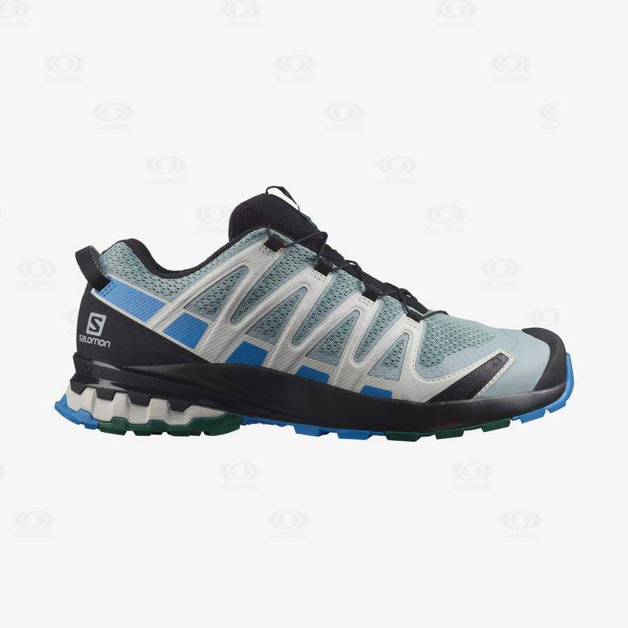 Turquoise Men\'s Salomon XA PRO 3D v8 Hiking Shoes | USA-O2141