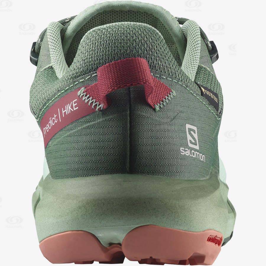 Turquoise Women's Salomon PREDICT HIKE GORE-TEX Waterproof Shoes | USA-M1902