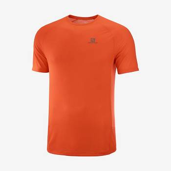 Orange Men's Salomon PROMO CROSS REBEL T Shirts | USA-W2010