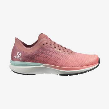 Pink Women's Salomon SONIC 4 Accelerate Running Shoes | USA-W2260